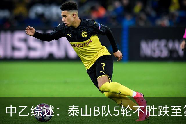 中乙综述：泰山B队5轮不胜跌至第4，厦门飞鹭三连胜终结无缘登顶