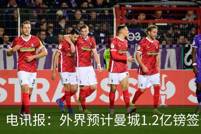 电讯报：外界预计曼城1.2亿镑签安德森 担忧这一价格引发连锁反应